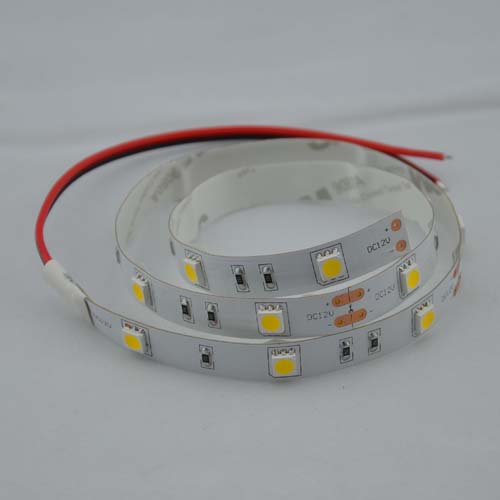 24V,Smd5050,Tira Led Flexible