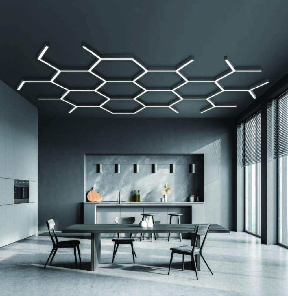 The Subversion of Business Model