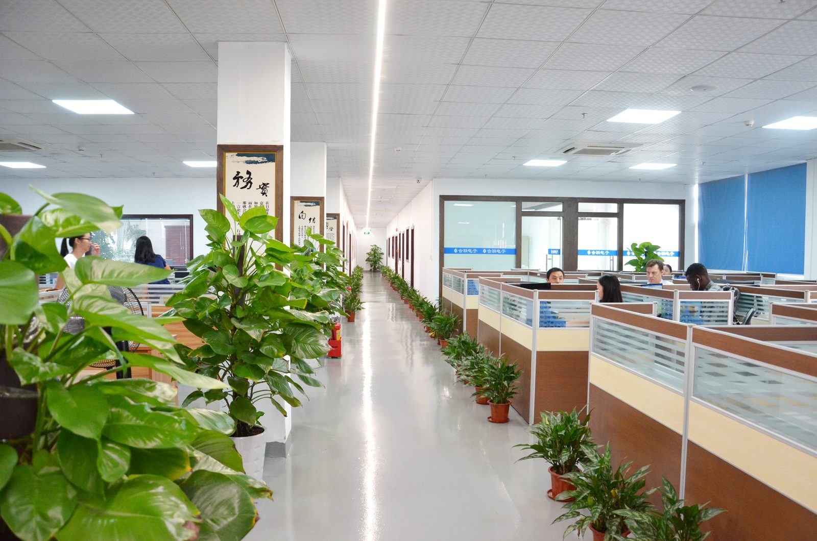 About Helian | LED Aluminum Profiles & Linear Lighting 3 Open-plan office area used by the sales, engineering and QC teams
